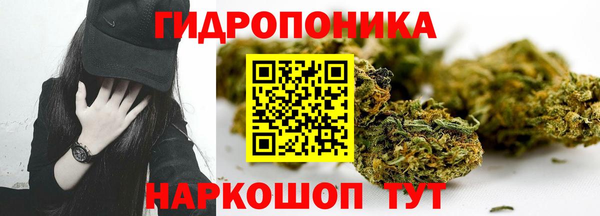 Марихуана планчик Ульяновск